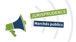 Contrôle de la capacité et de l’expérience : quelle marge d’appréciation ?